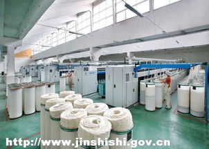 宏力紡織 產(chǎn)業(yè)集群驅(qū)動(dòng)，鑄就百億紡織工程新篇章